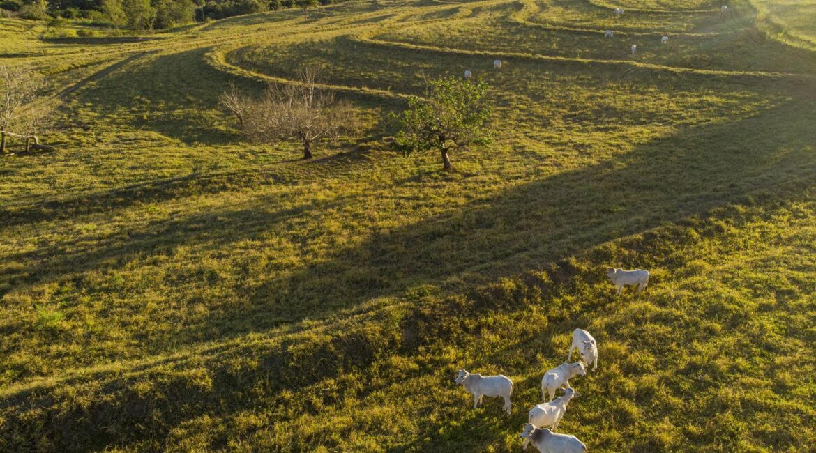 Así es el nuevo proyecto que trata de impulsar emprendimientos rurales y sostenibles